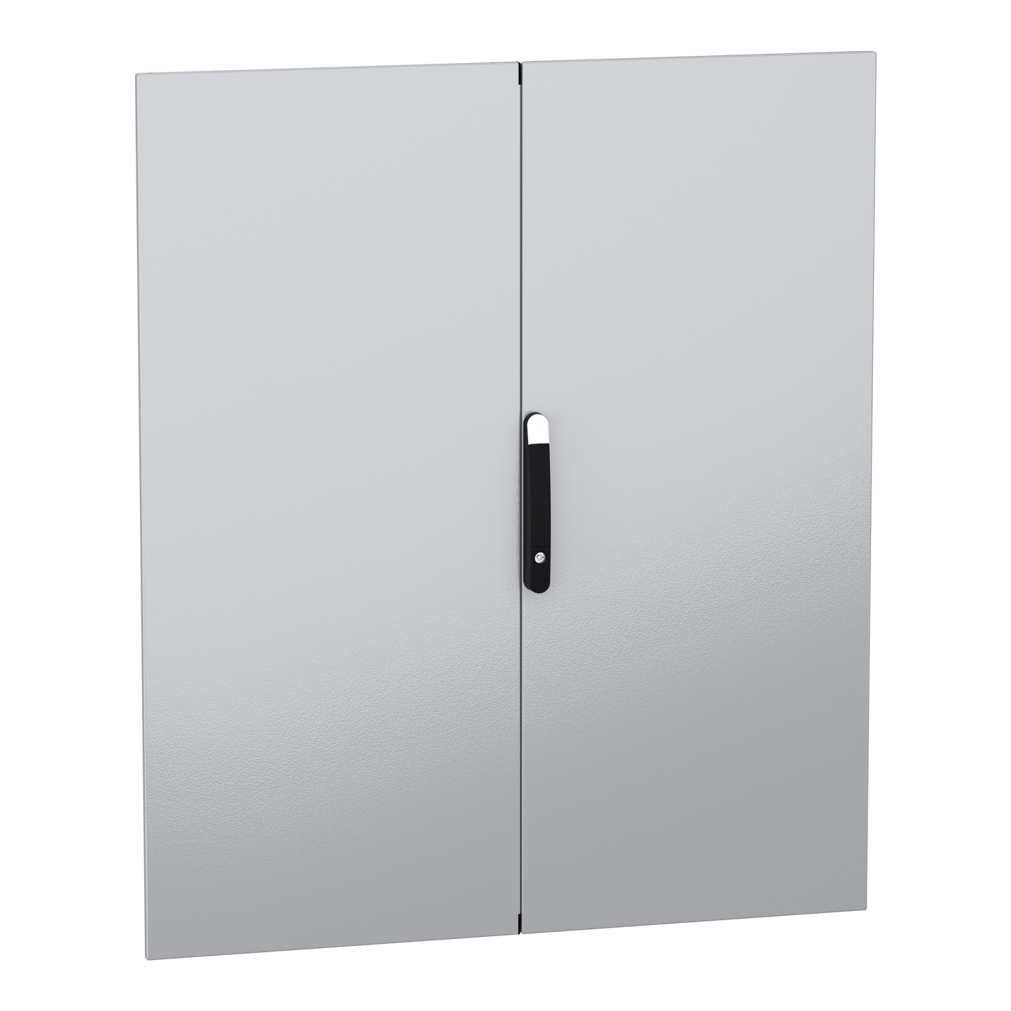 Schneider Electric-NSYSMDN14122D-PanelSeT SFN Accessoires - porte pleine double - 1400x1200 mm (HxL)
