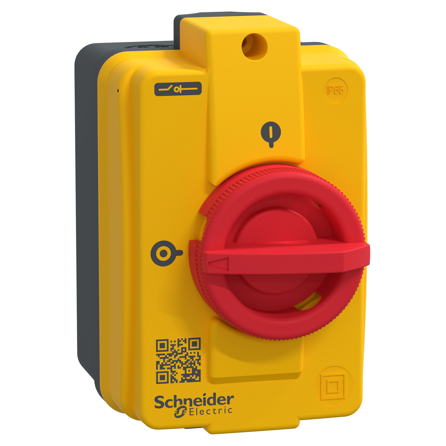 Schneider Electric-VCFN20GE-TeSys VCFN - interr.-sectionneur en coffret - 3P - 16A