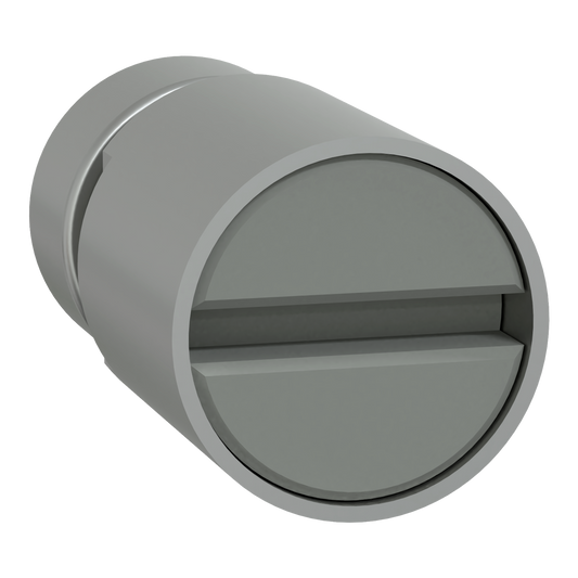 Schneider Electric-LVS07946-PrismaSeT G - Bloc insert combinaison fente tournevis