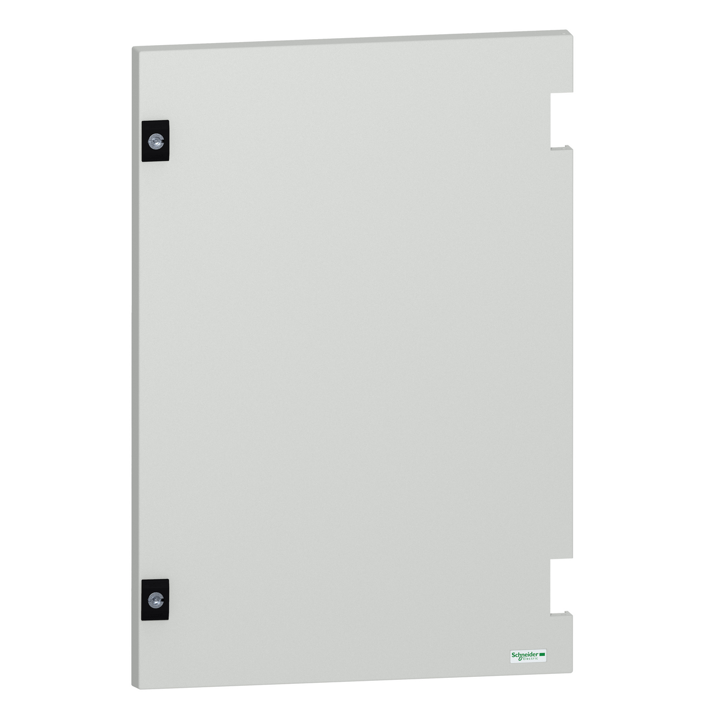 Schneider Electric-NSYDPLM64G-Thalassa - Porte pleine - sans serrure - coffret polyester PLM64G - H600xL400mm