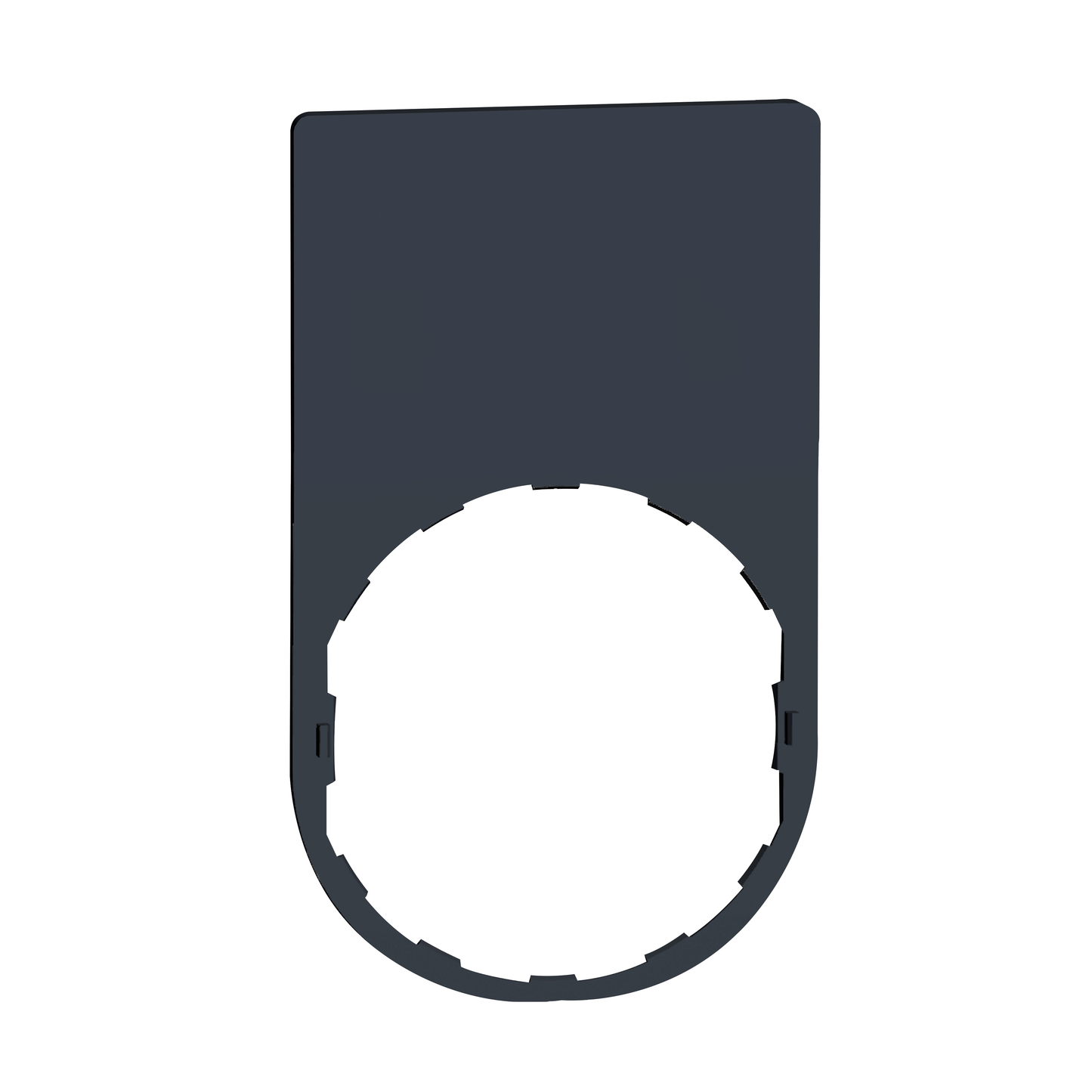 Schneider Electric-ZBYP6101-Harmony - étiquette plate - 30x50 - plastique noir - vierge