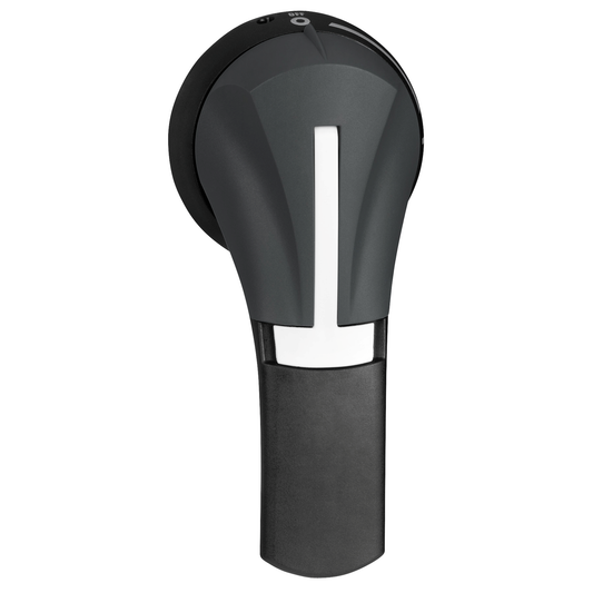 Schneider Electric-GS2AH330-TeSys GS - poignée externale rotative gauche - 100A à 400A - IP65 - noire