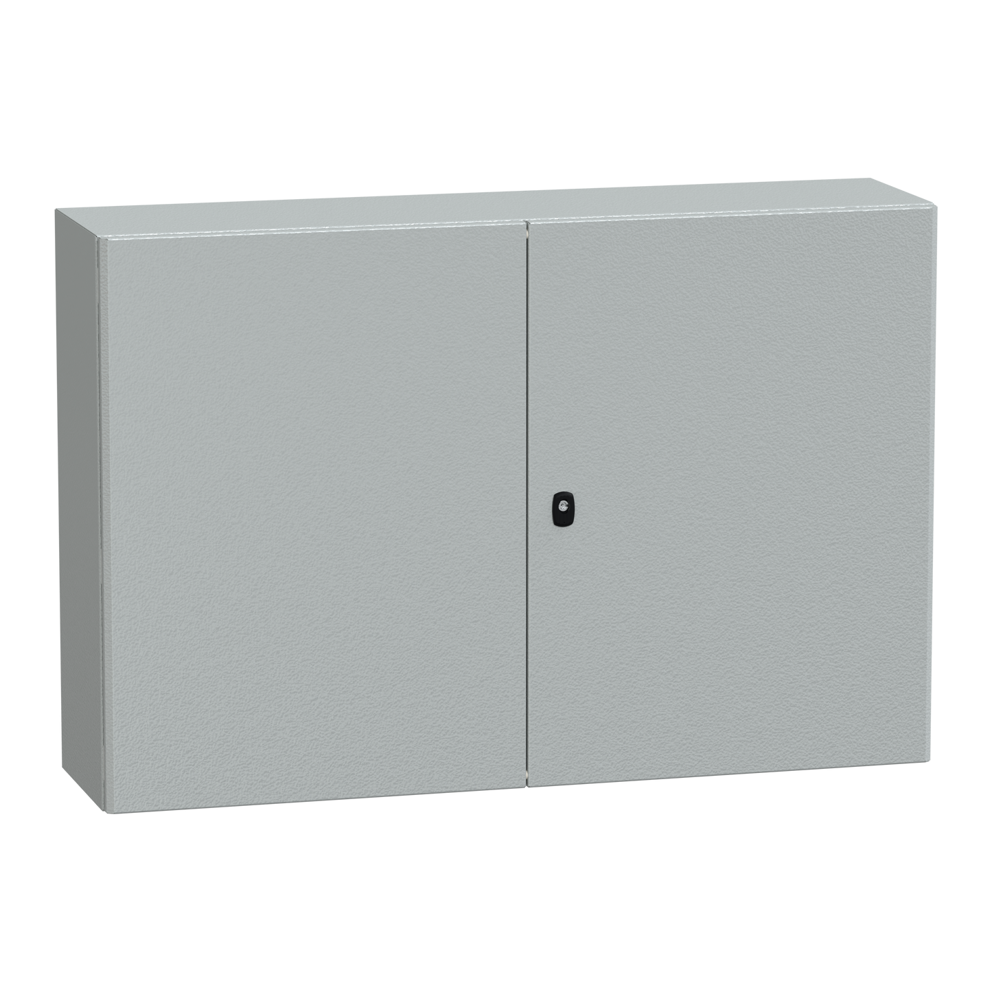 Schneider Electric-NSYS3D81230D-PanelSeT S3D - Enveloppe acier - H800xL1200xP300 - 2 portes pleines