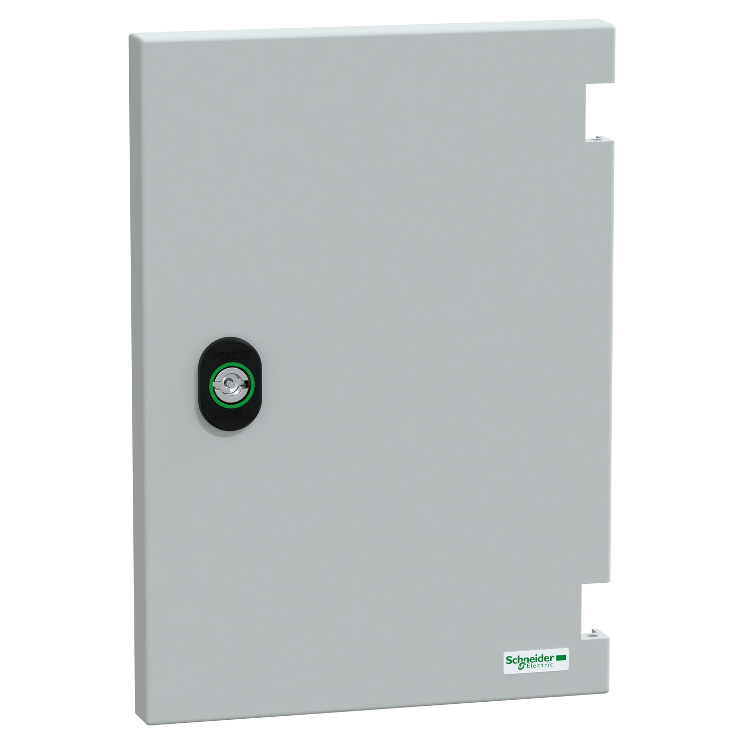 Schneider Electric-NSYDPLM32G-Porte sans serrure PLM32