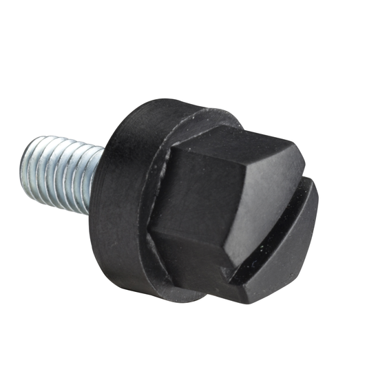 Schneider Electric-NSYSM10M5HP-PanelSeT - Thalassa - vis téte isolée - M5x10mm