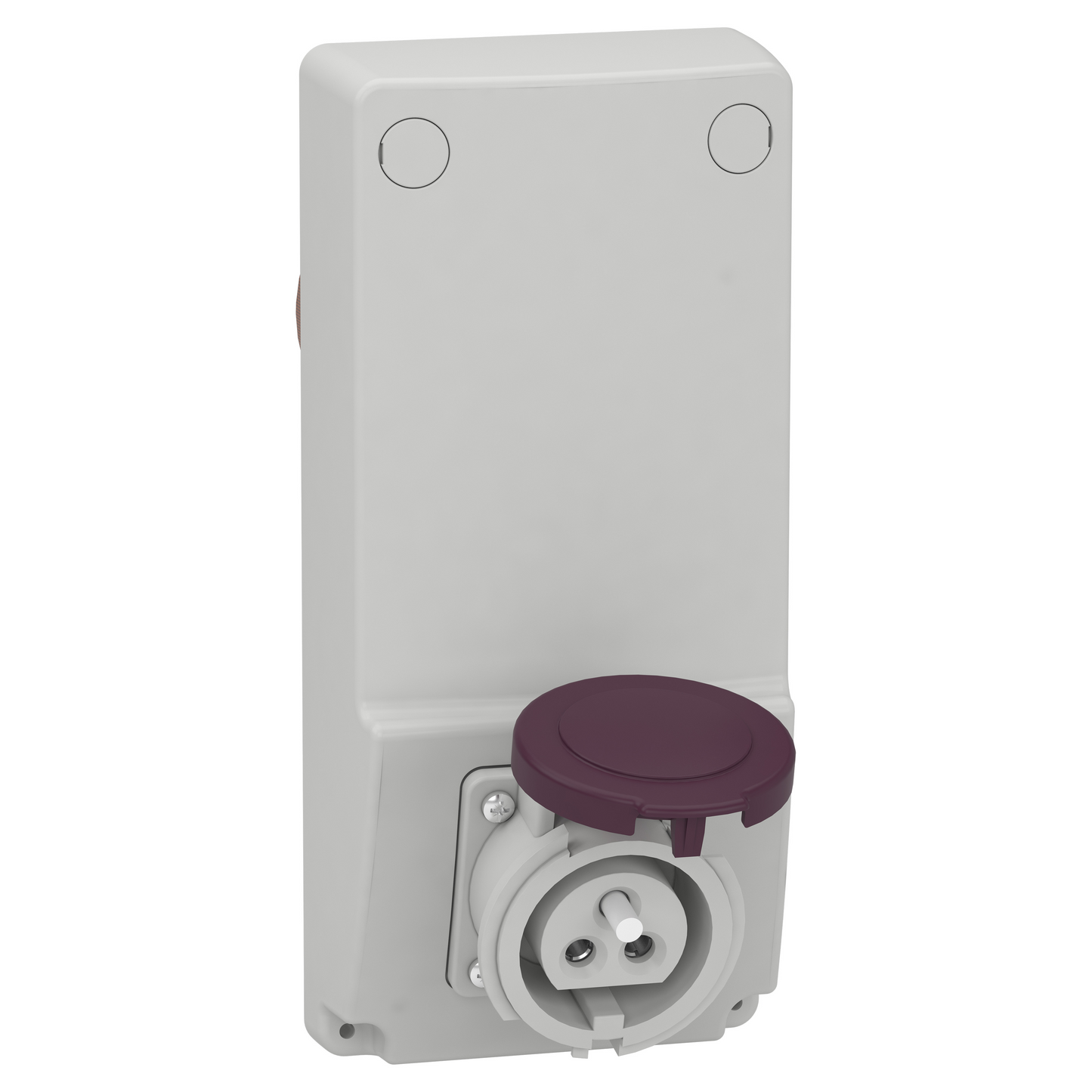 Schneider Electric-82026-Mureva - socle de prise avec transfo. - 16 A 2P - 230 V CA - IP44 - sur panneau
