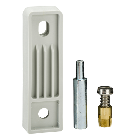 Schneider Electric-NSYPFPLMG-Thalassa - Ensemble de 4 fixations murales polyester PLM3025-108 Ral 7035