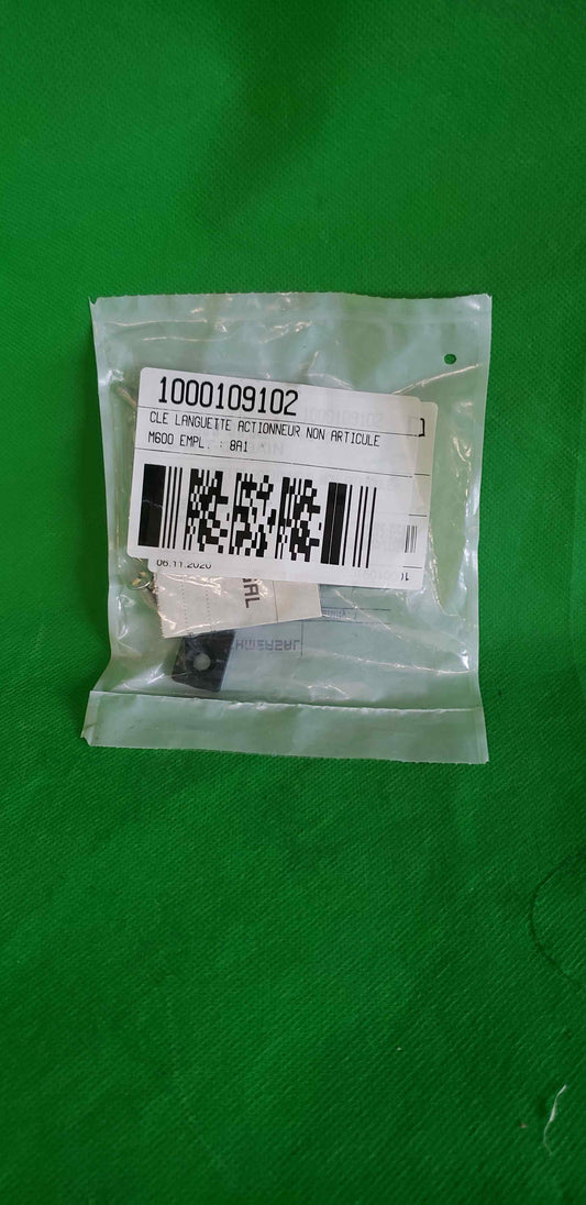 Schmersal-AZM 161-B1/AZM161B1